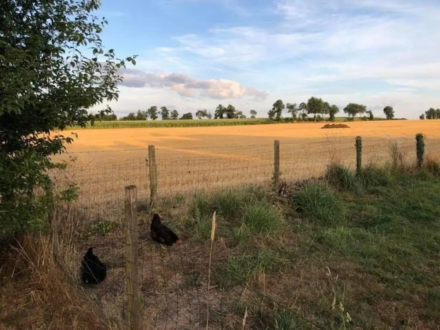 La gerbaudiere chambres  Tables d hôtes