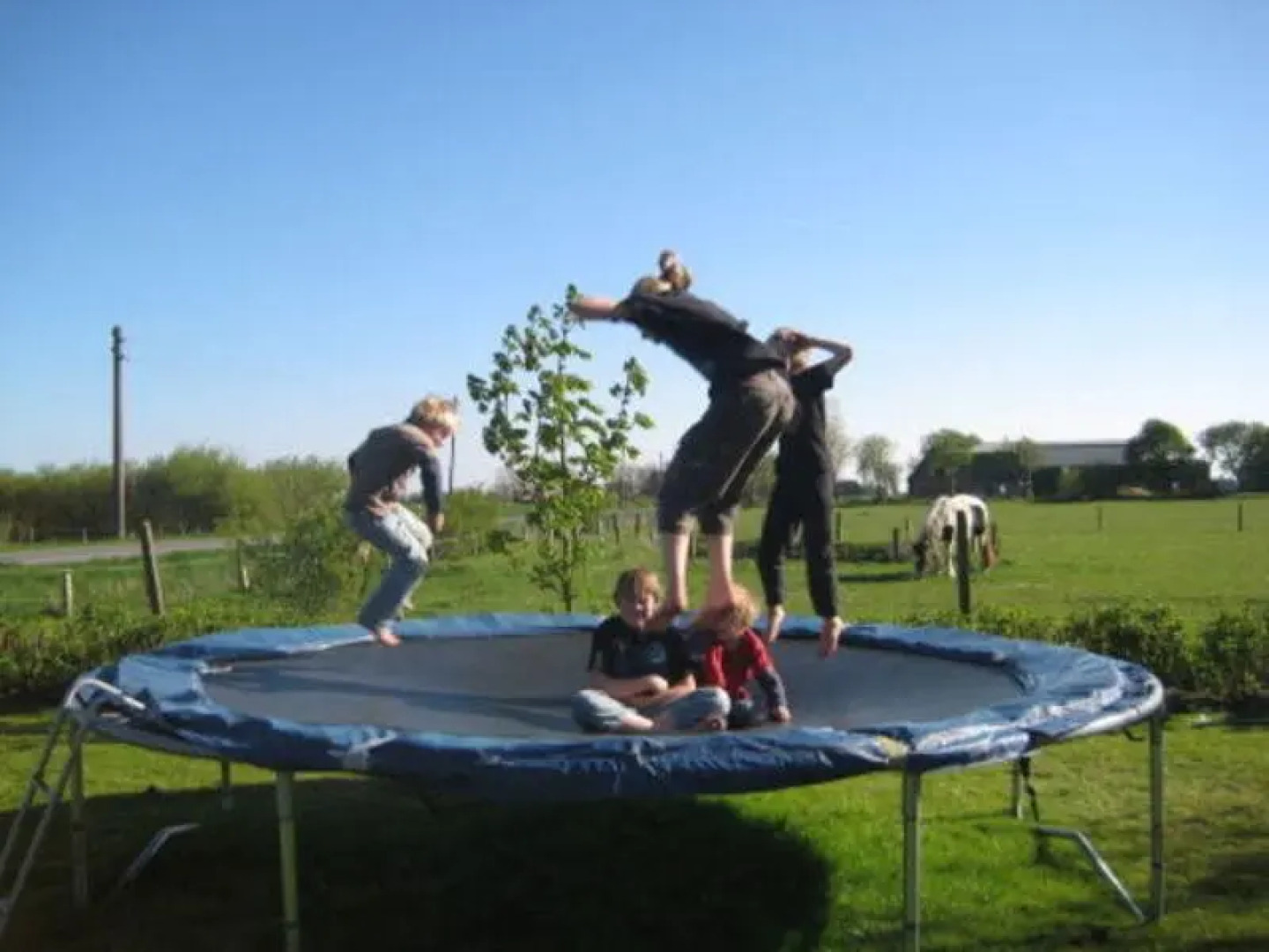 Ferienhaus Christianskoog