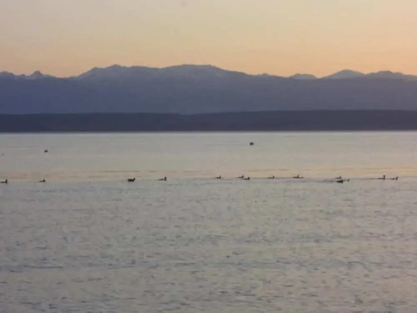 Beachfront Mutiny Bay Cabin