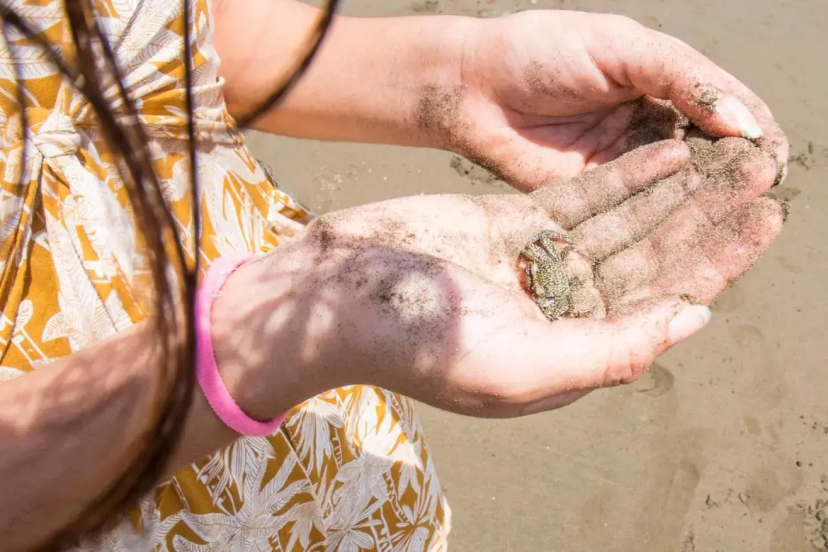 Show Pony Beach Resort and Suites