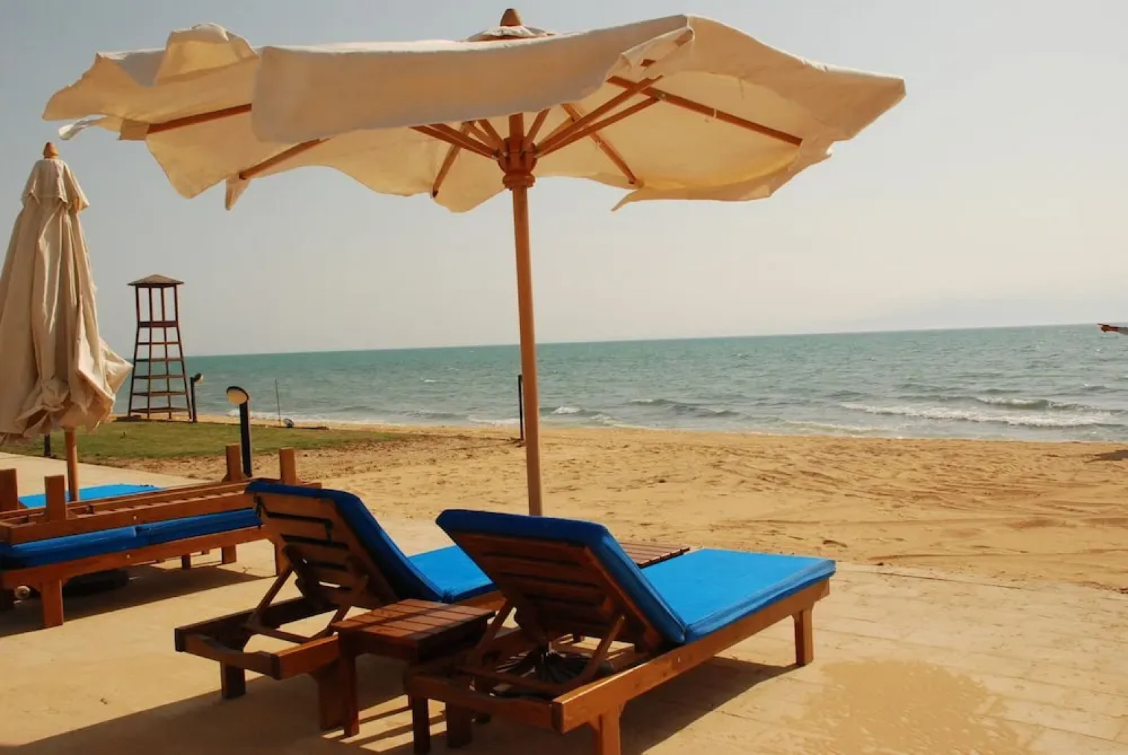 Palm Beach Host Mark