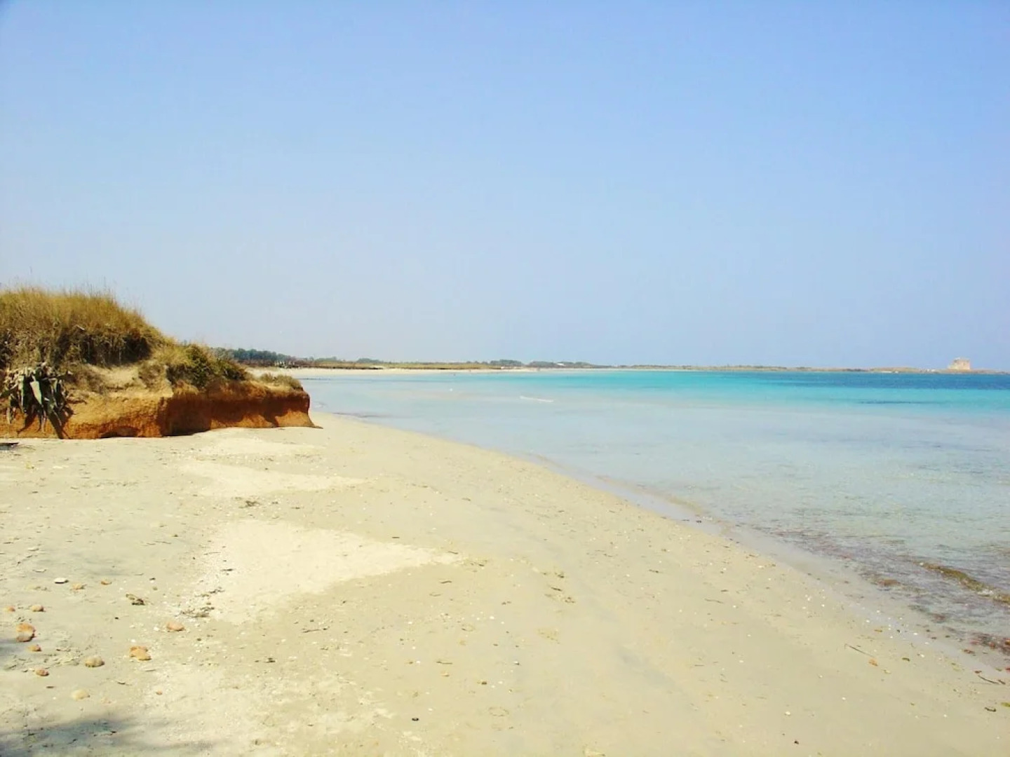 Apartment With 2 Bedrooms in Torre Guaceto, With Enclosed Garden