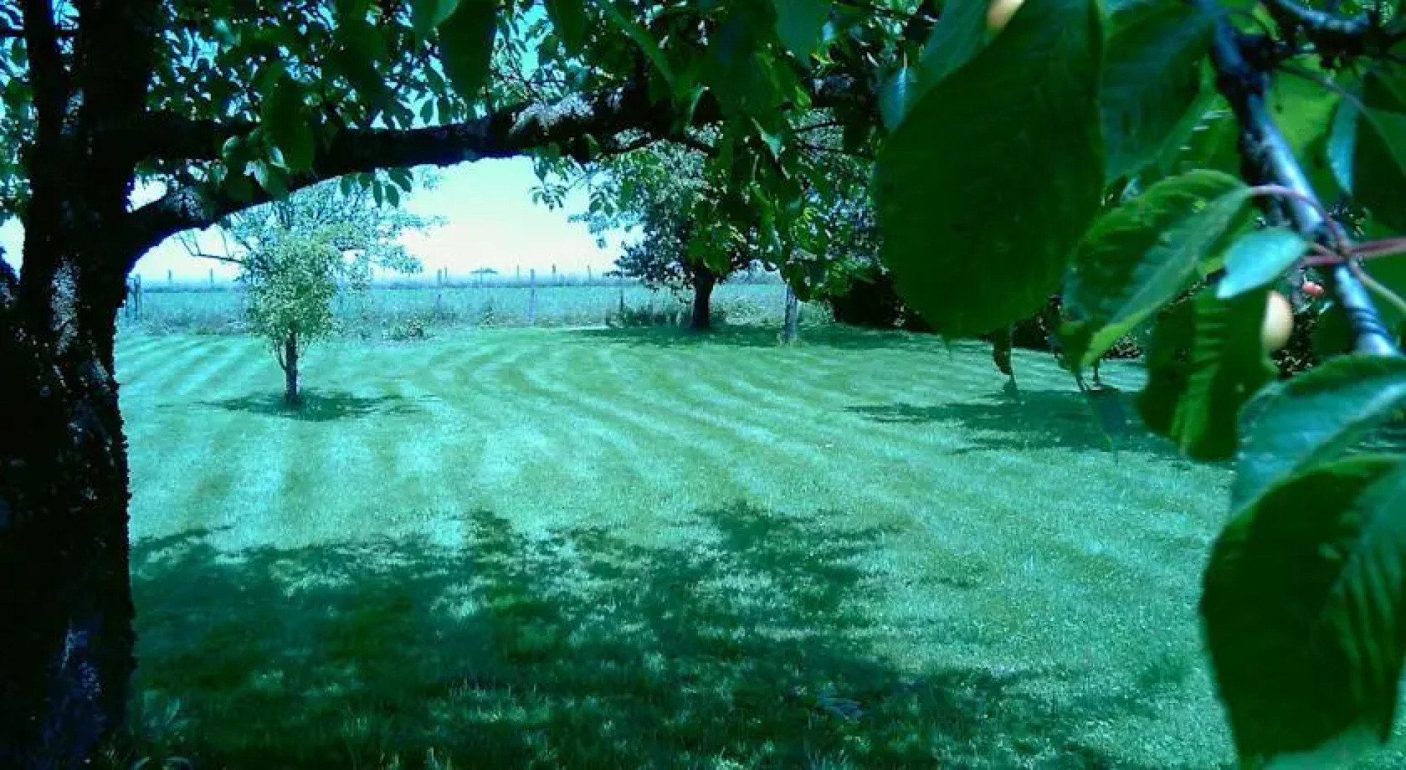 Domaine de la Rainette