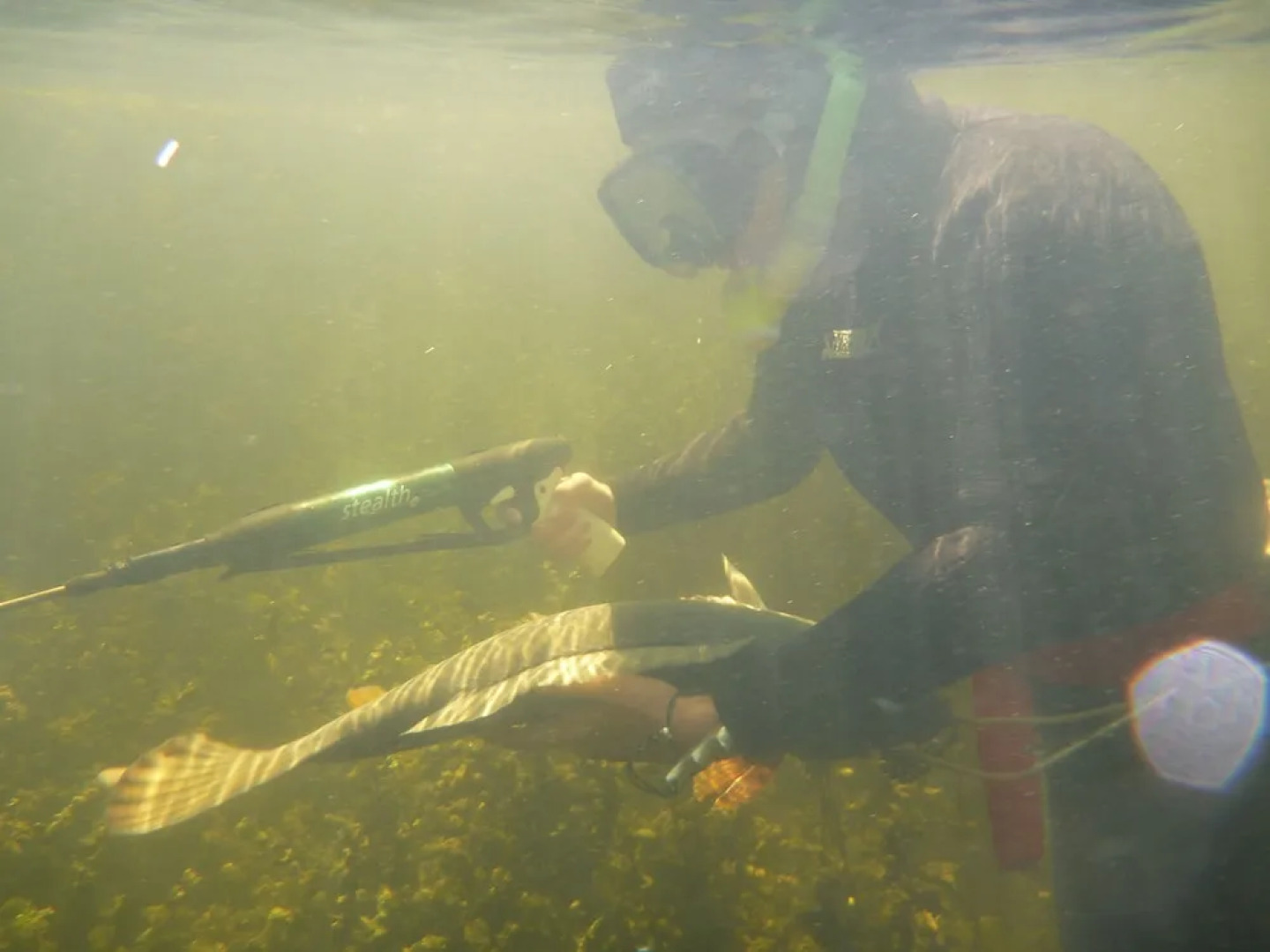 Остров Рыбака