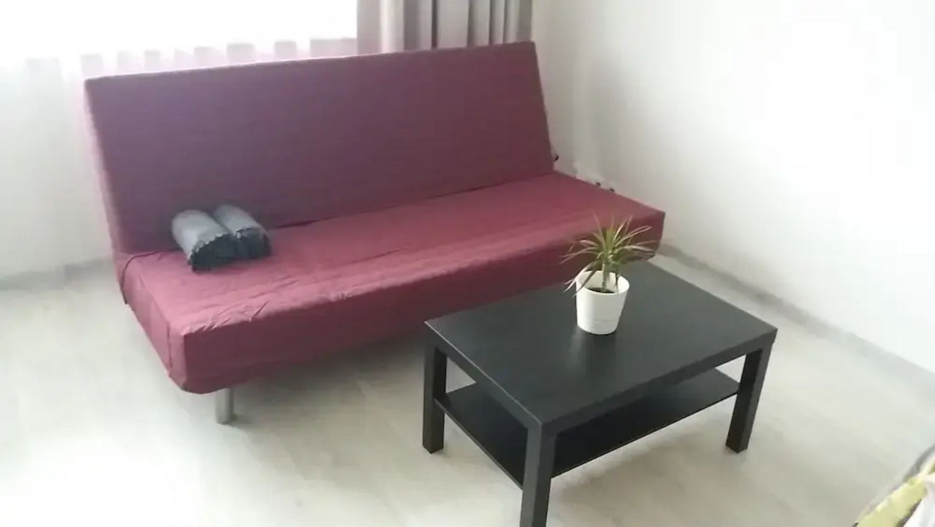 Litovelska apartment