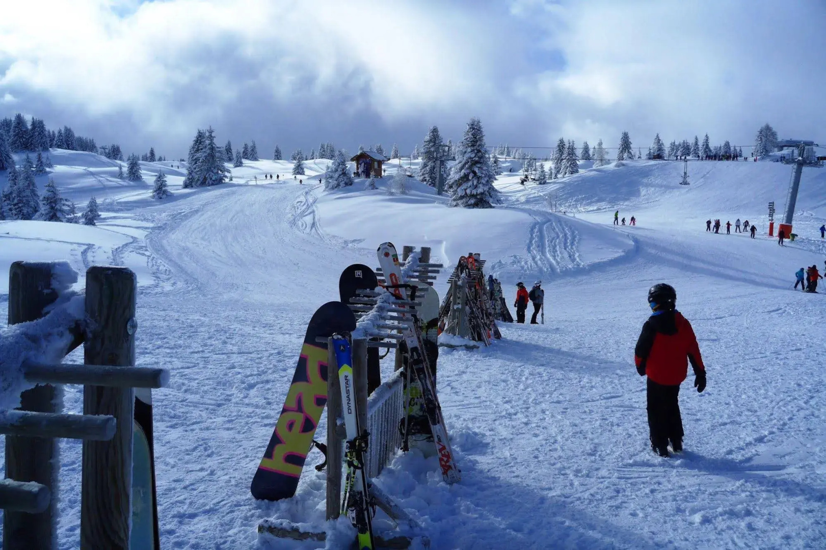 Chalet Hotel Du Bois