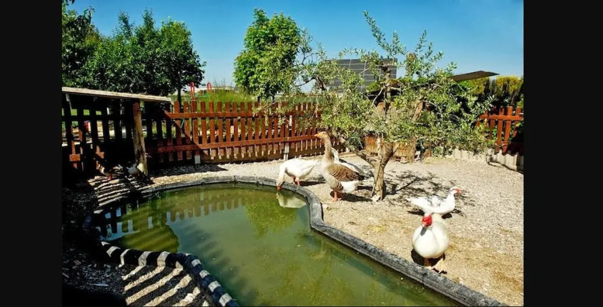 Casa rural Cal Modest