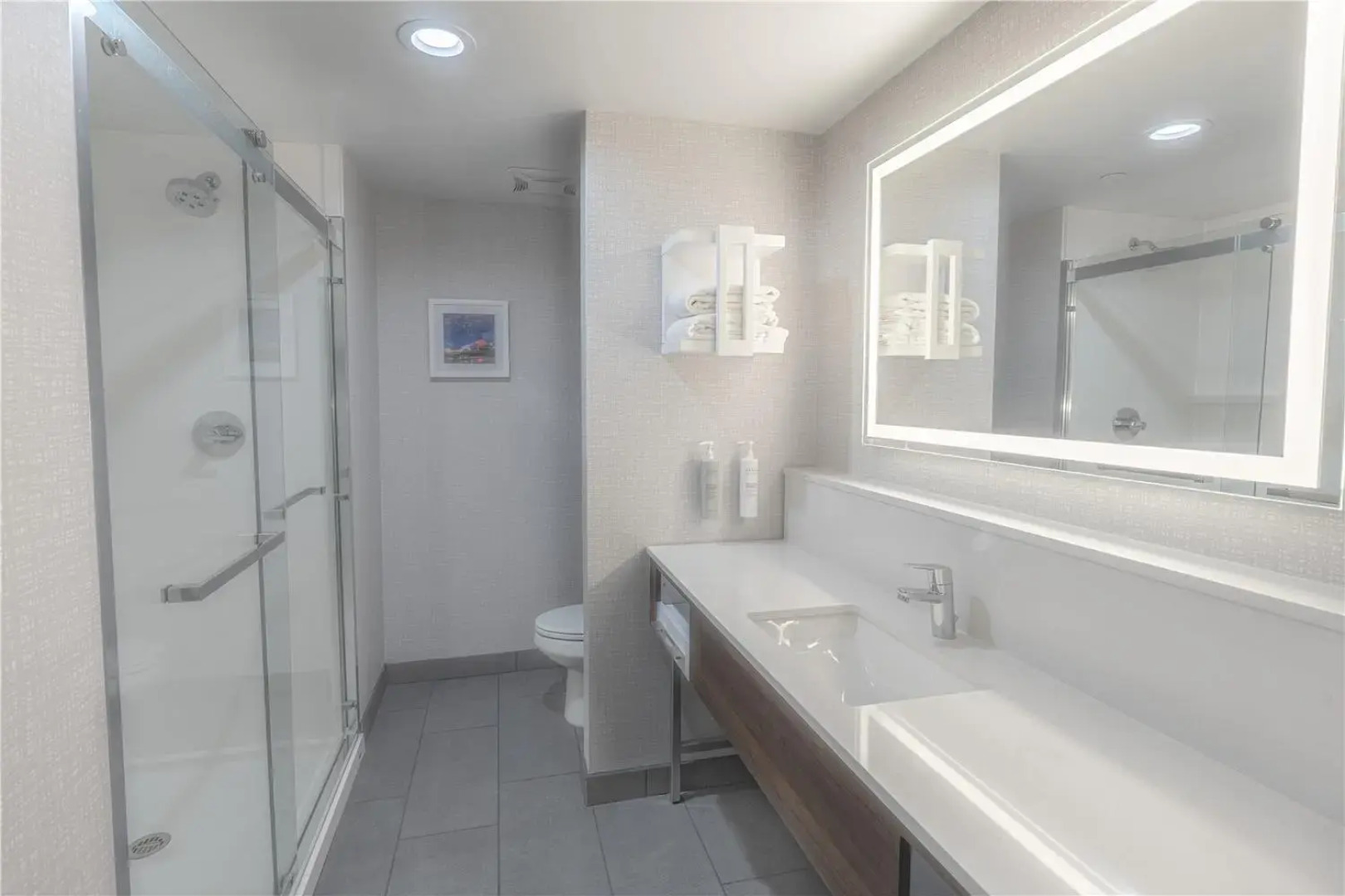 Hampton Inn By Hilton Santa Clarita-Valencia