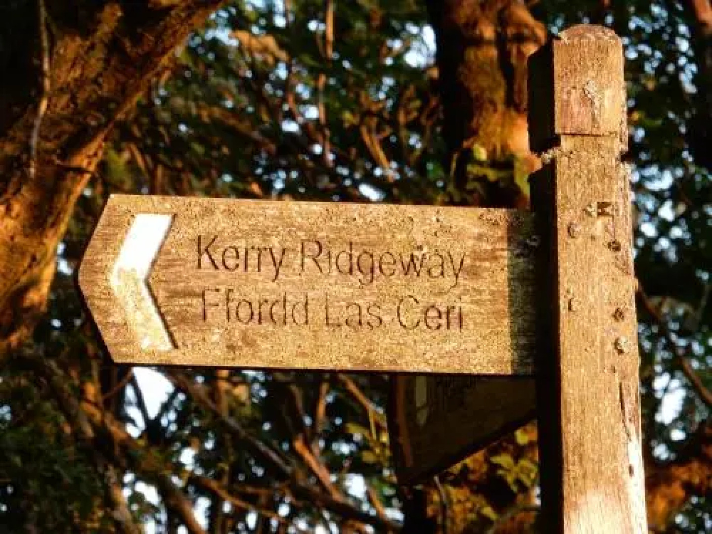 The Farm Snead Bed & Breakfast