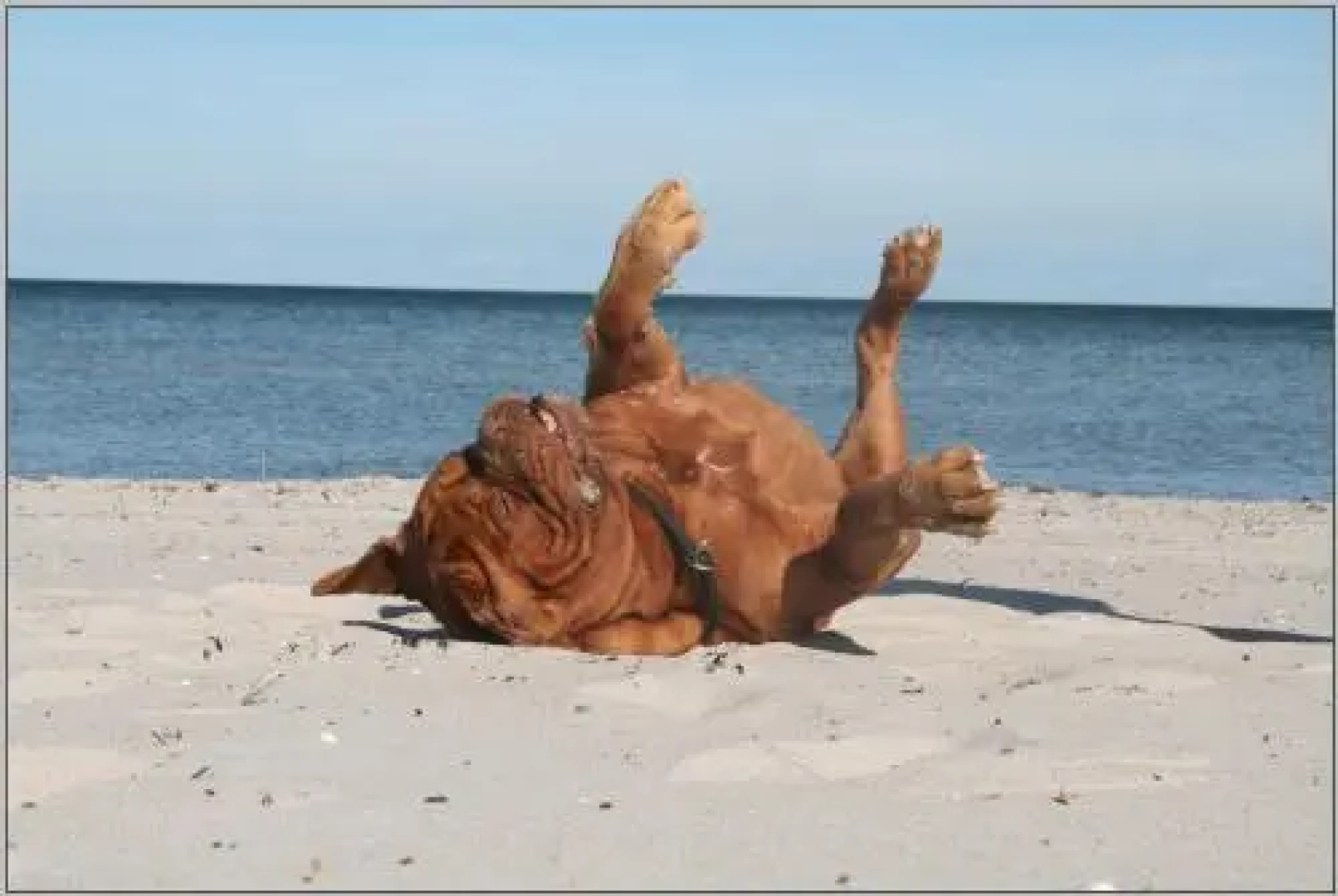 Ddr Bungalow Direkt Am Strand Auf Rügen