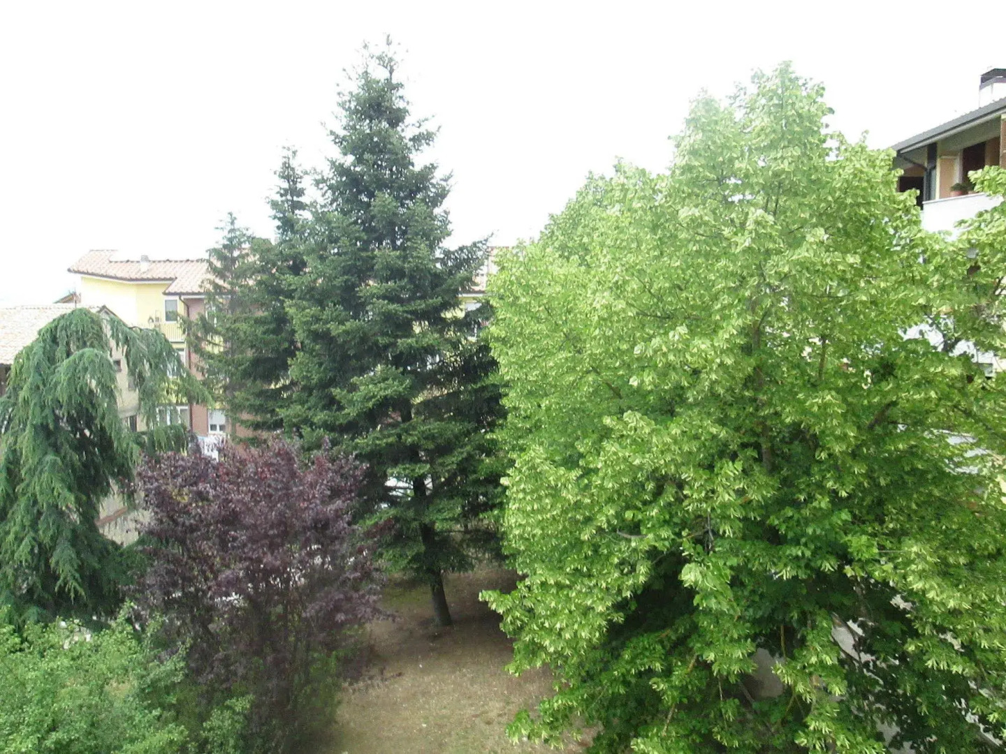 Apartment. Primavera