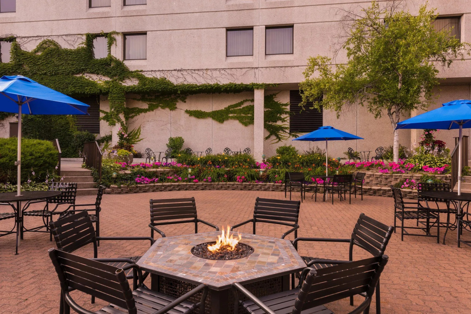 Hilton Appleton Paper Valley