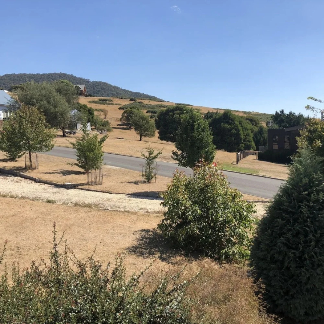 Alpine Stag Lodge Unit 2