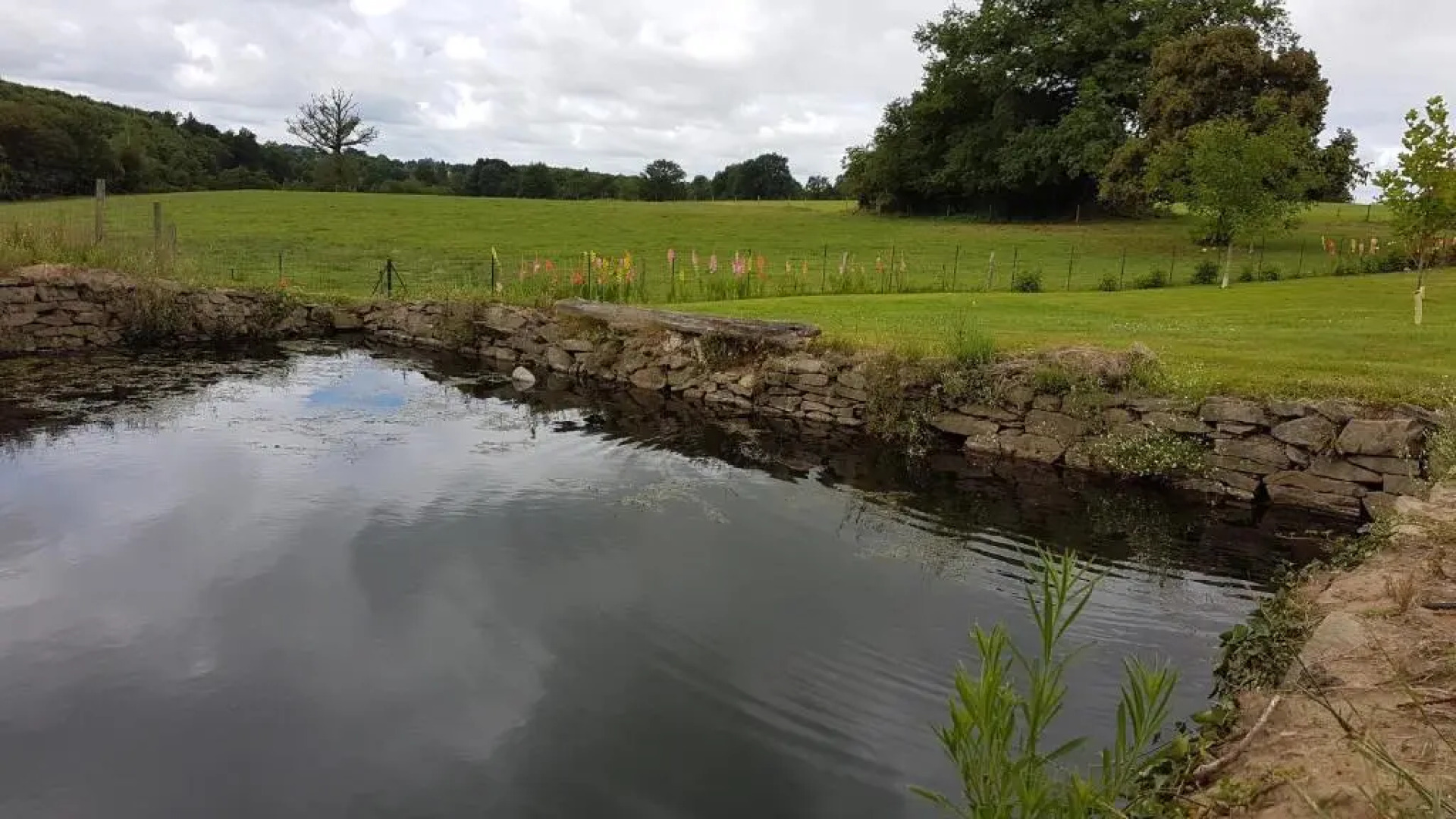 La Thibaudiere Tilleul