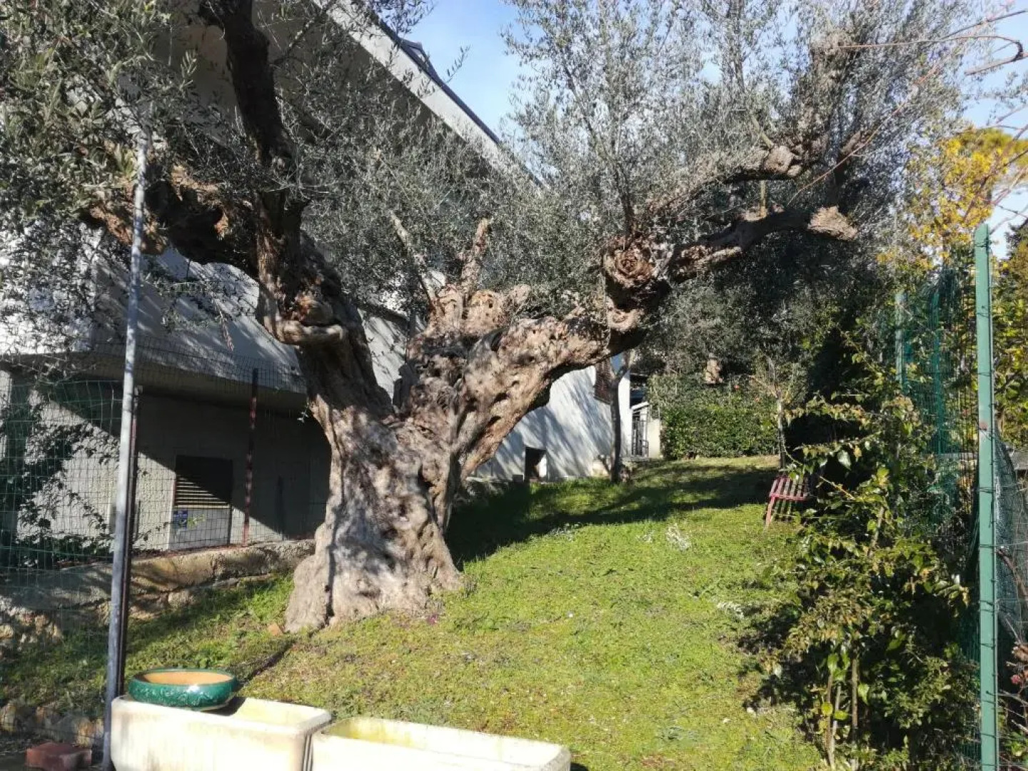 Le sorelle gemelle B&B