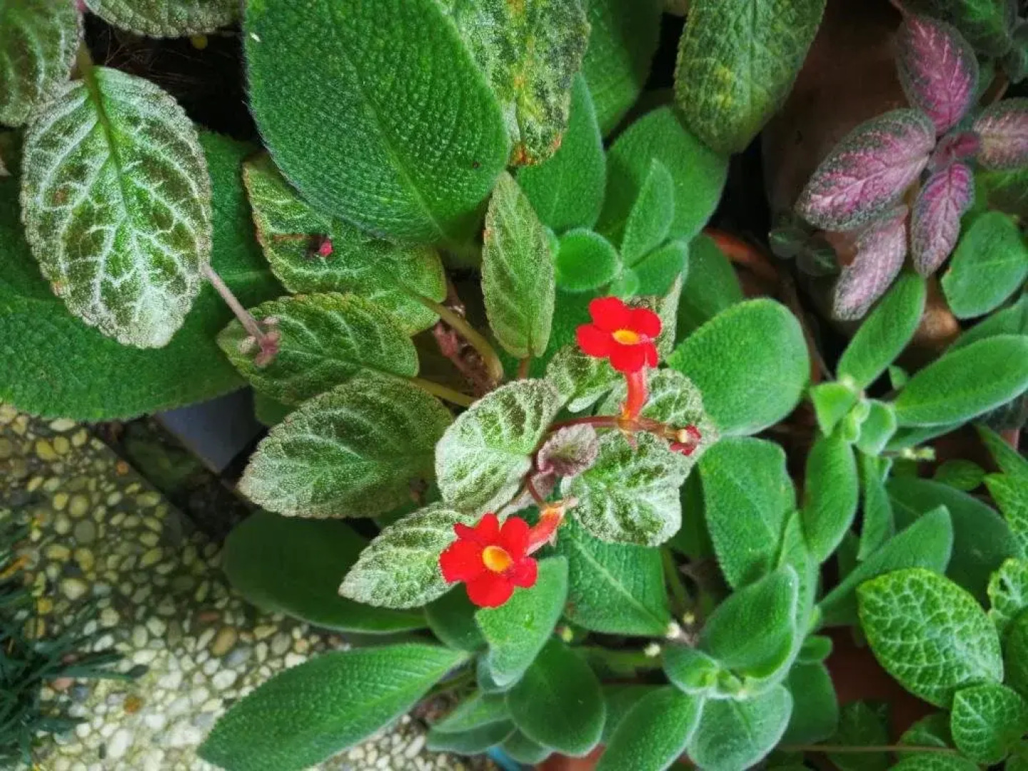 The House Boutique Hostel