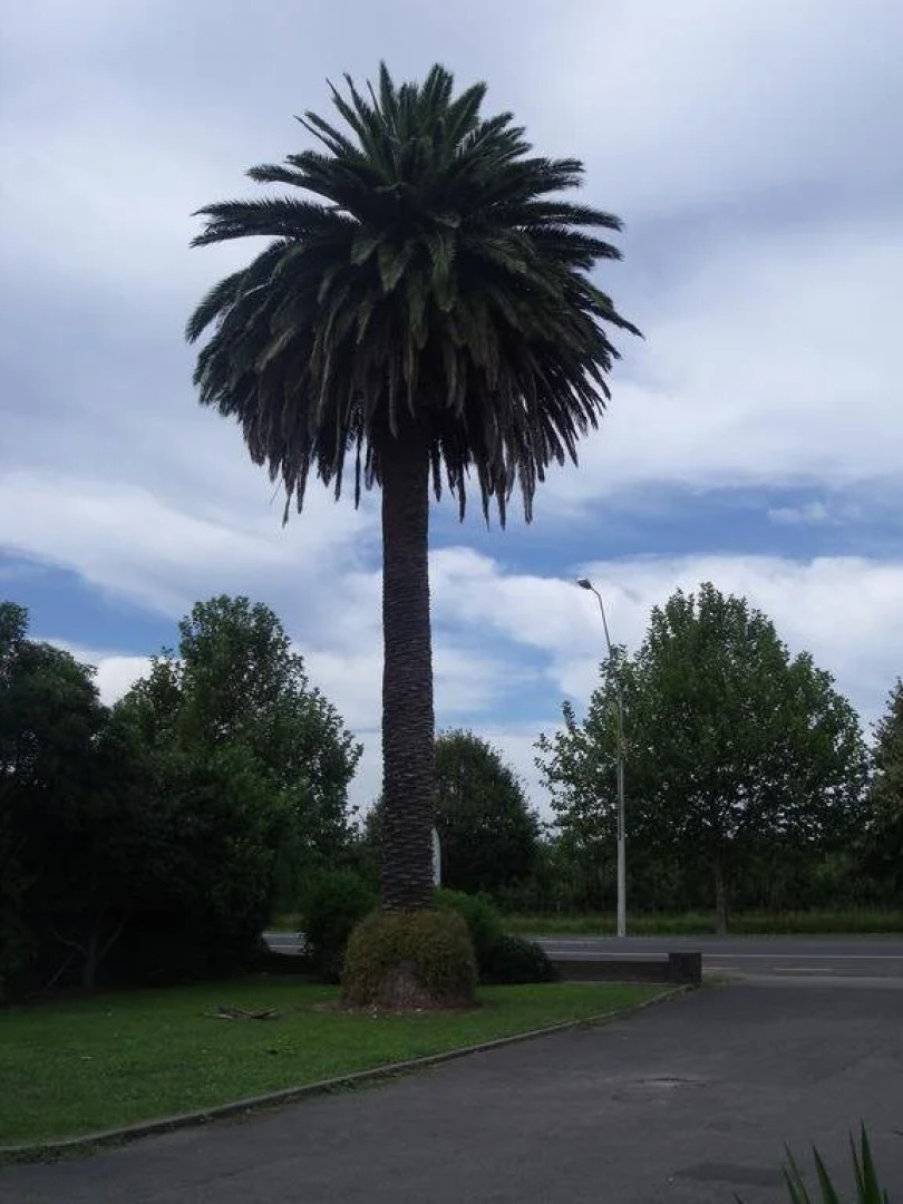 Anvil Court Motor Lodge