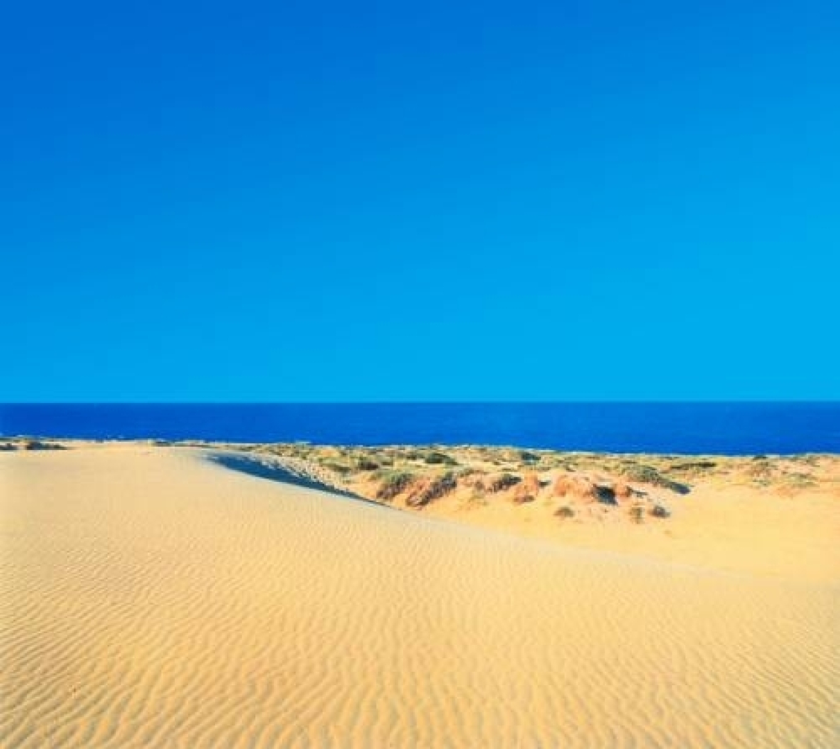 Arenales Playa Apartments - Marholidays