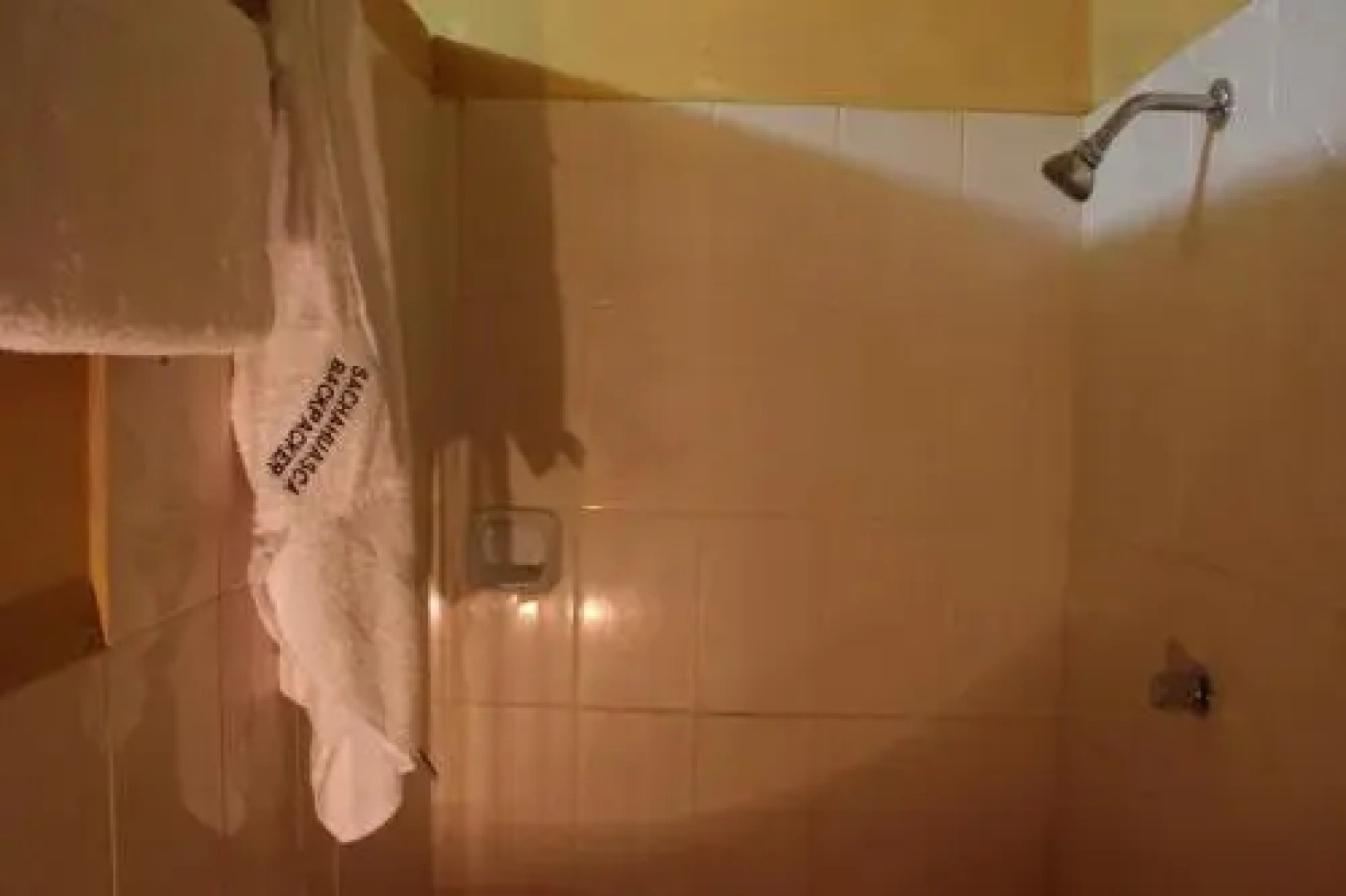 Sachahuasca Backpacker