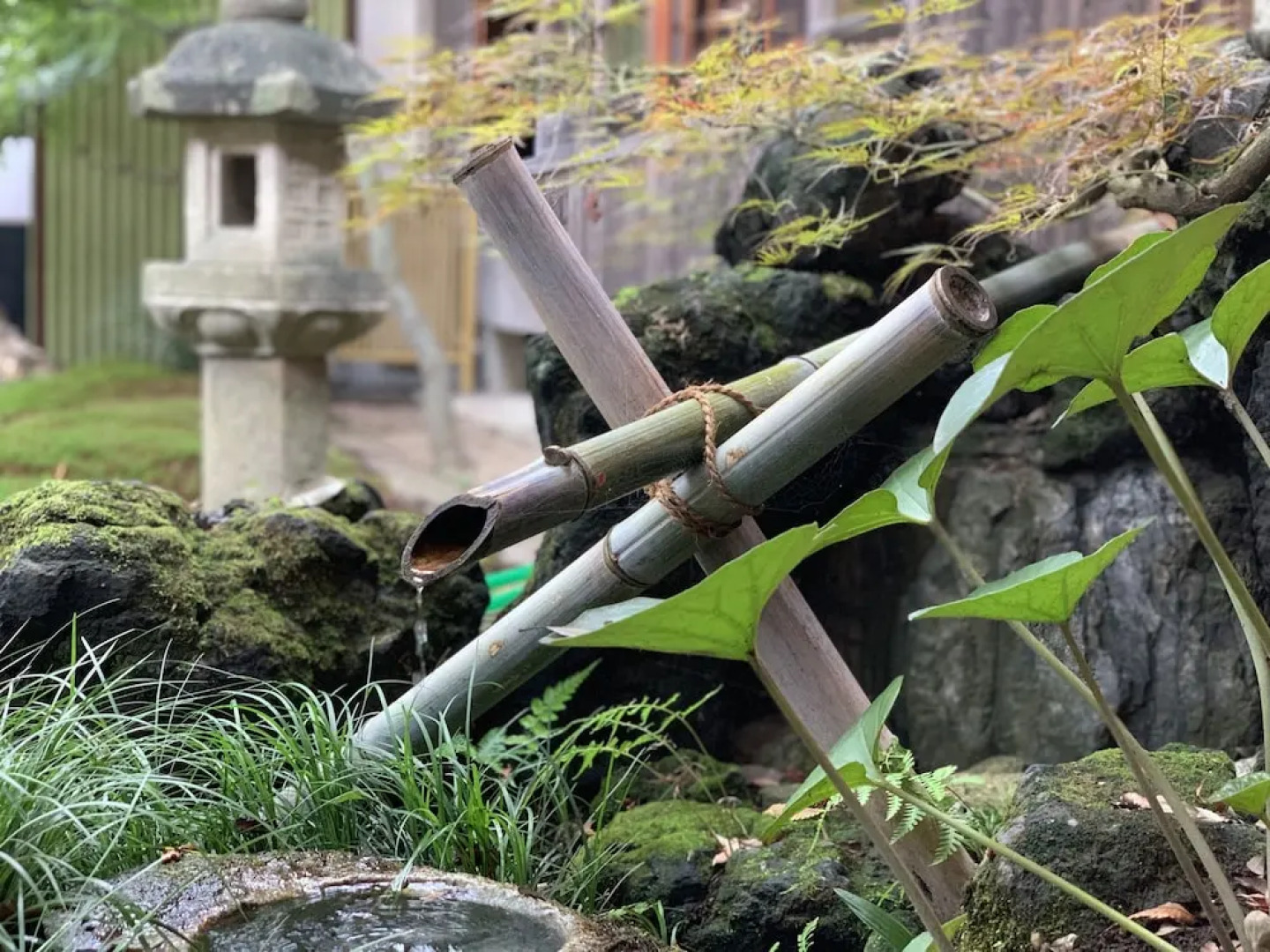 Temple Hotel Kannonin