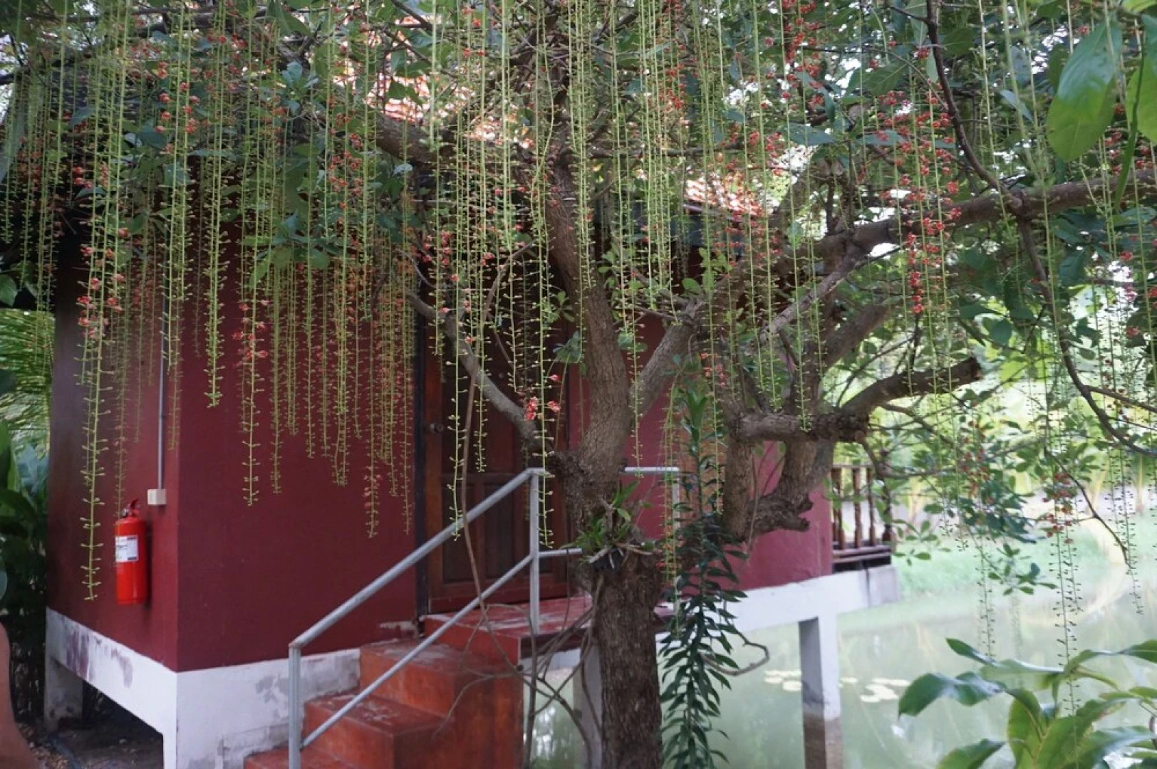 Jiratchaya Garden Hotel