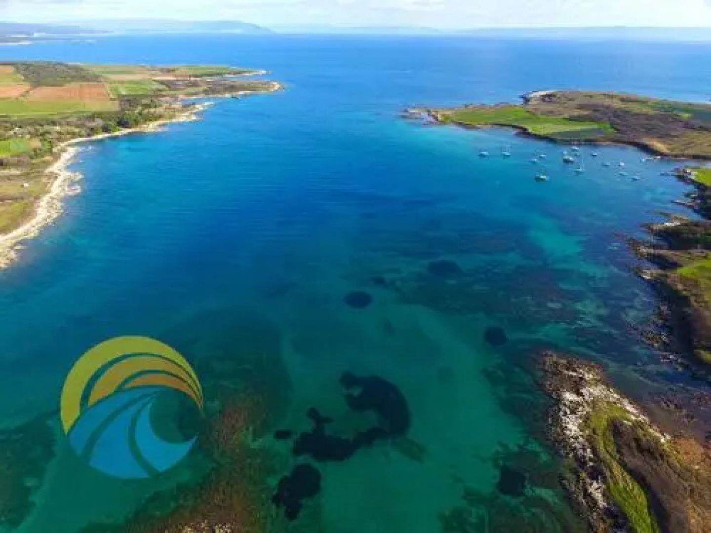 Apartments Vesna 1236