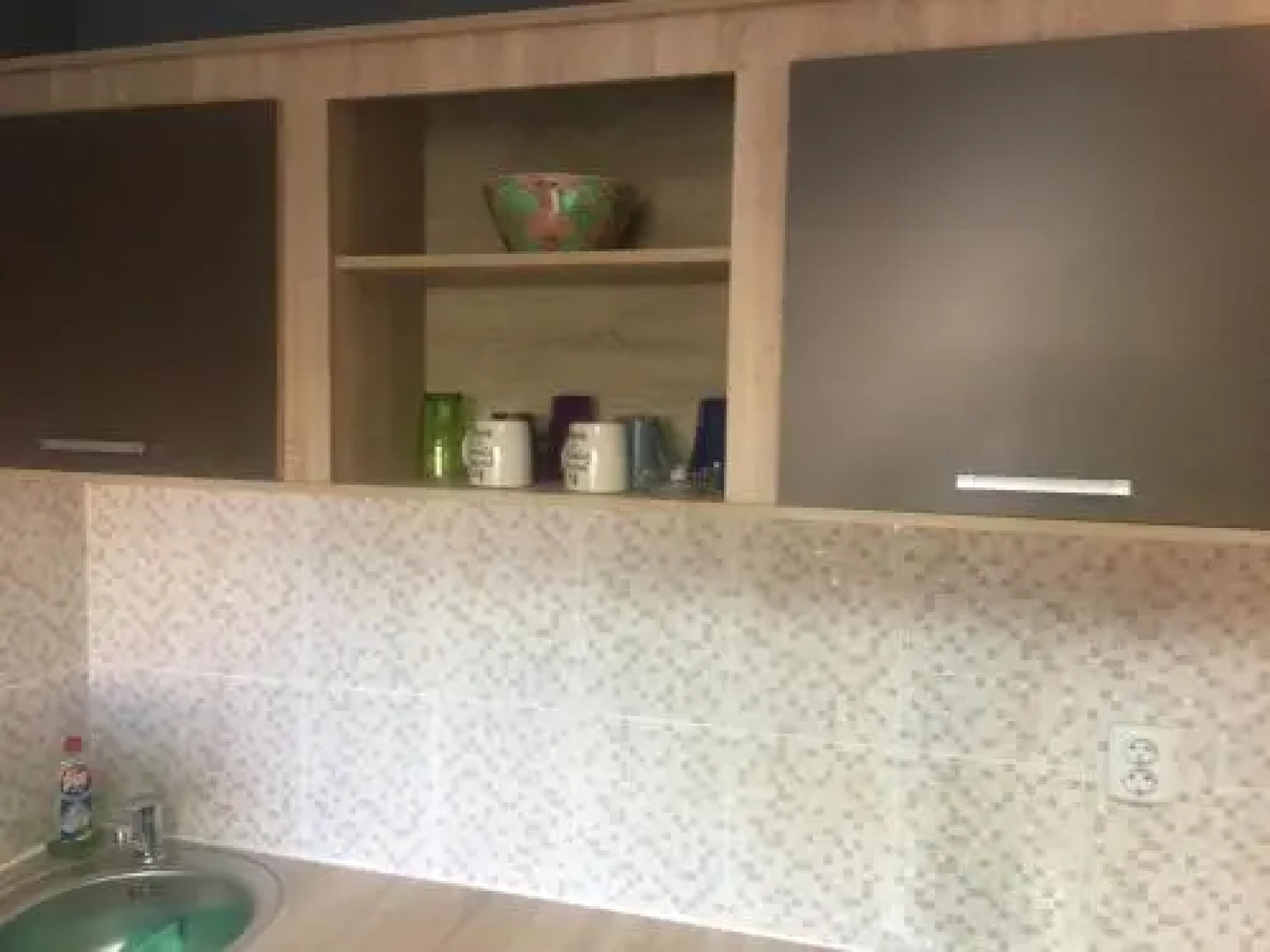 Lions Studio Dristor