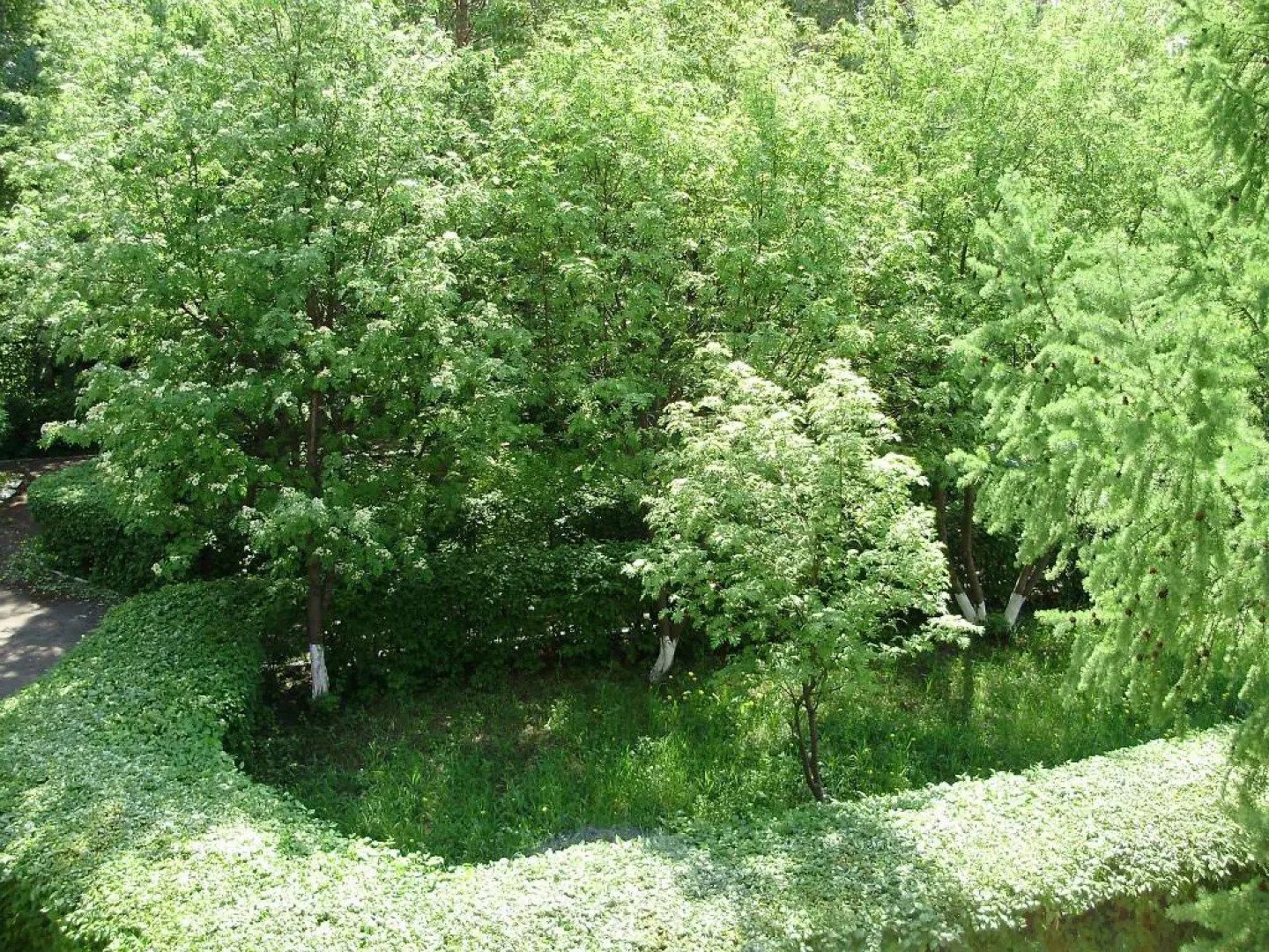 Санаторий-профилакторий Бараба