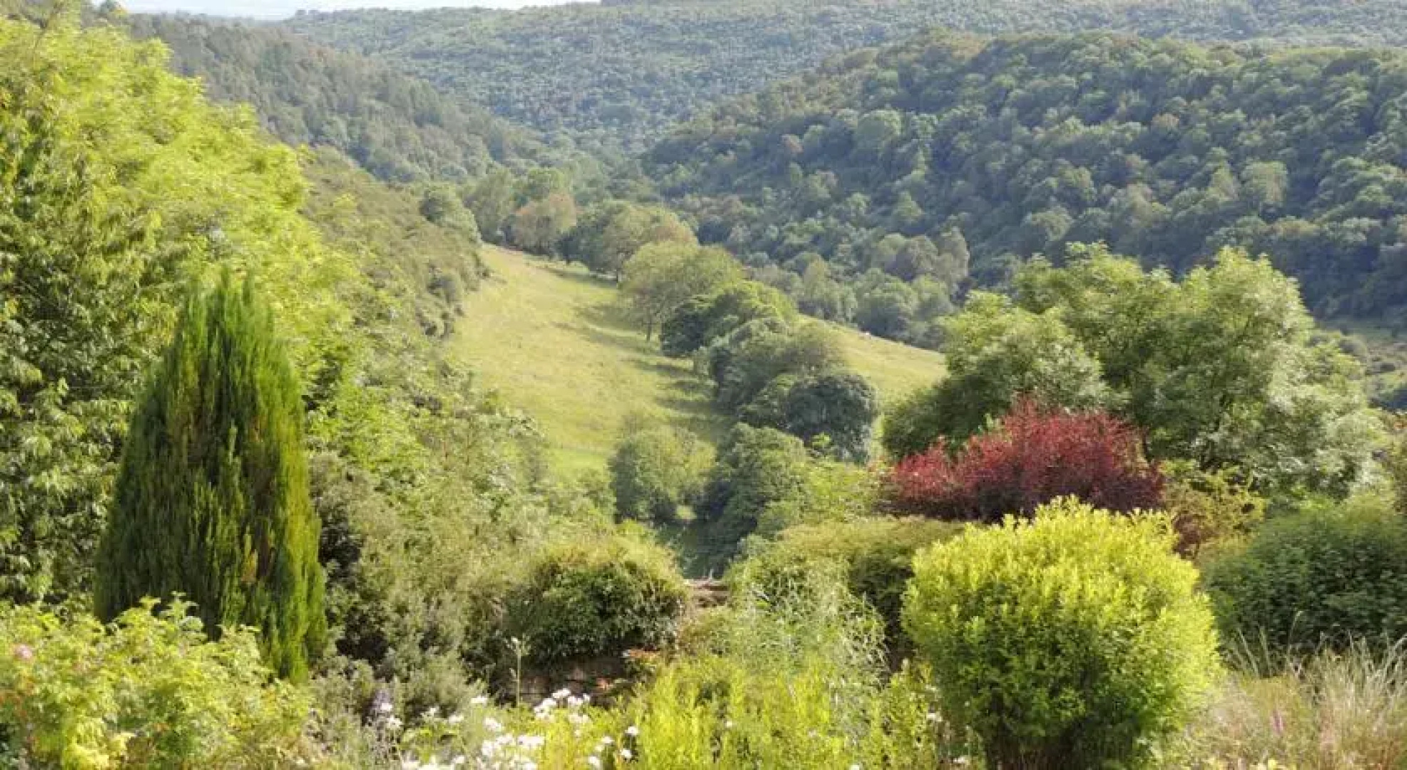 Moorlands Country House