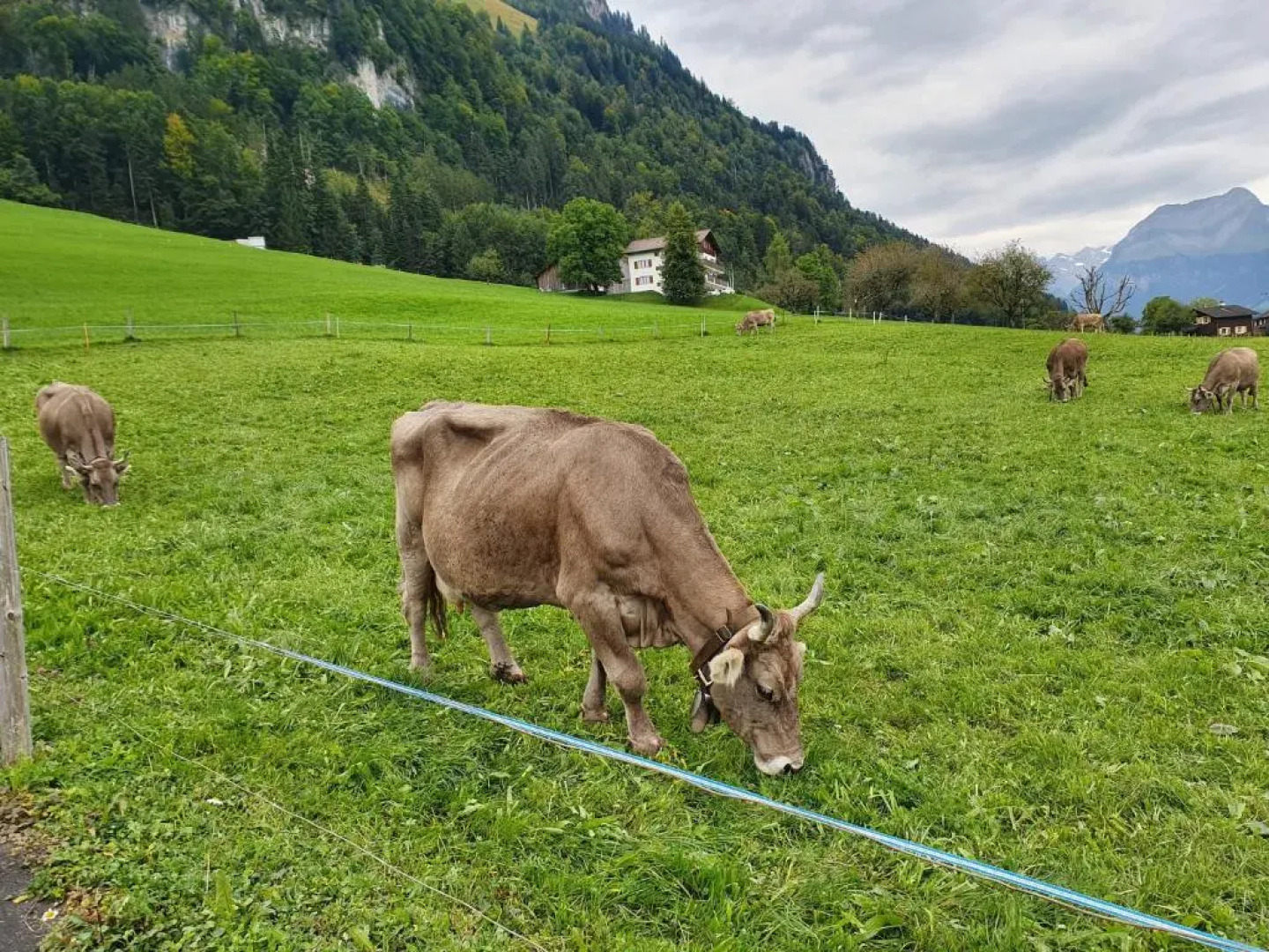 priv. Apartment bei Swiss Holiday Park