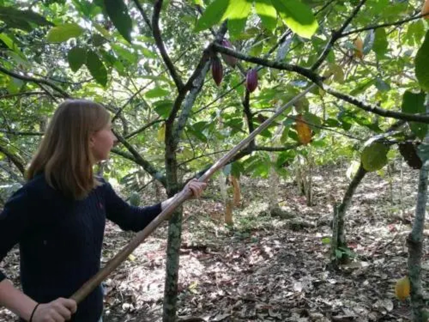 Hotel Boutique Quinta Tibigaro