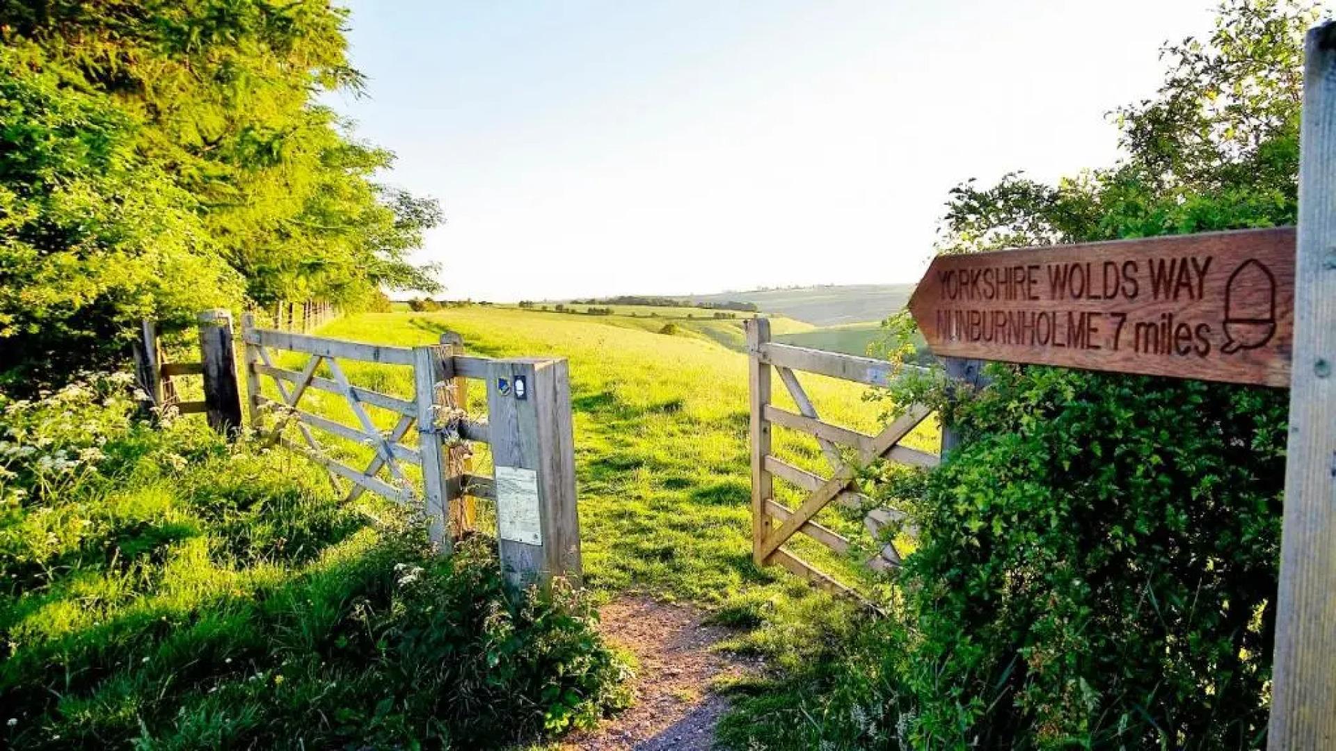 Acorn Glade Glamping