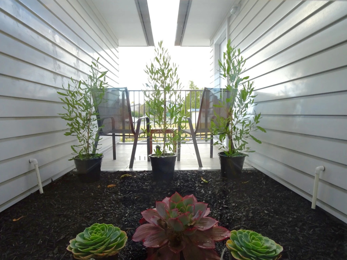 BKs Premier Motel Hamilton