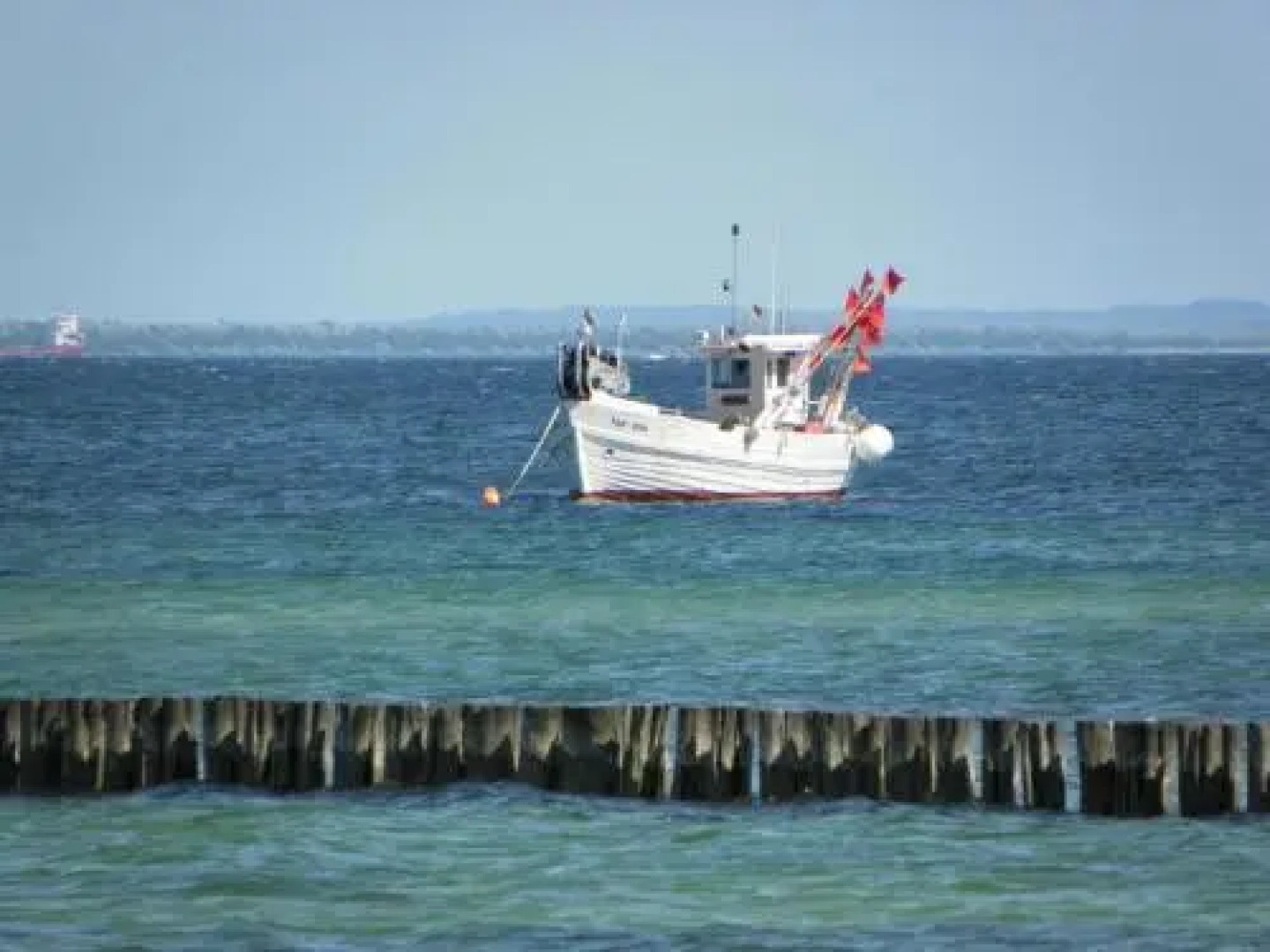 Strandvilla Hubertus Boltenhagen - Ferienwohnungen Apartment Mit Parkplatz Wlan Kuche Garten Grillplatz Waldbaden