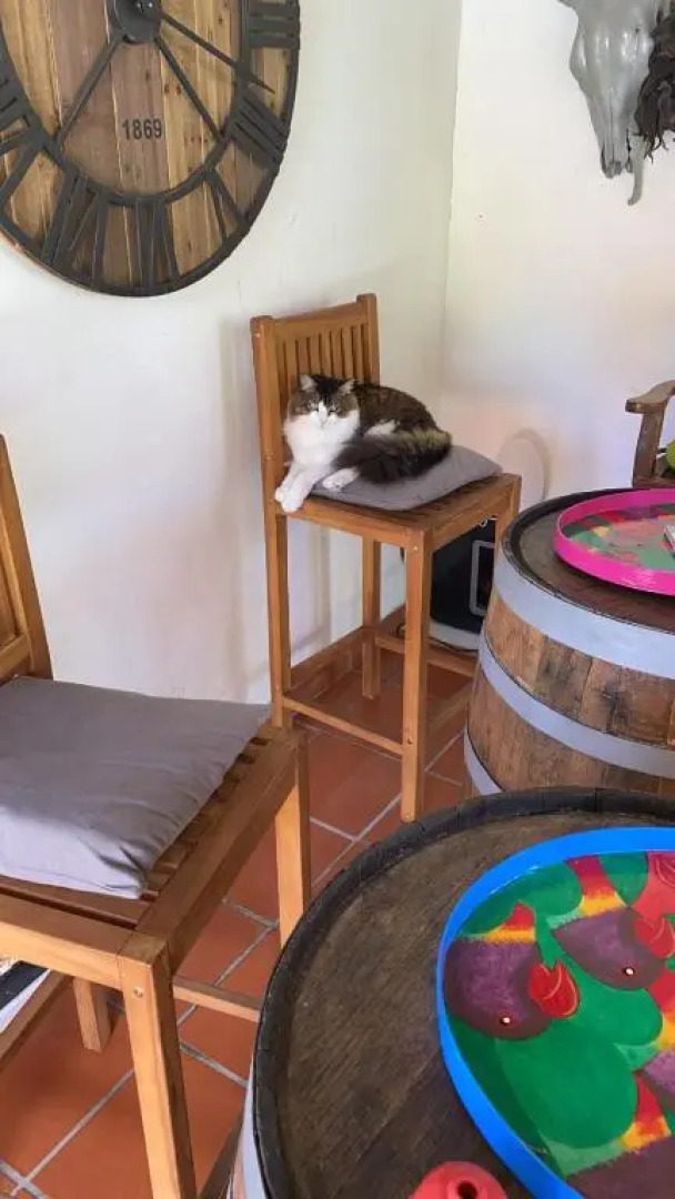 Studio des Perruches