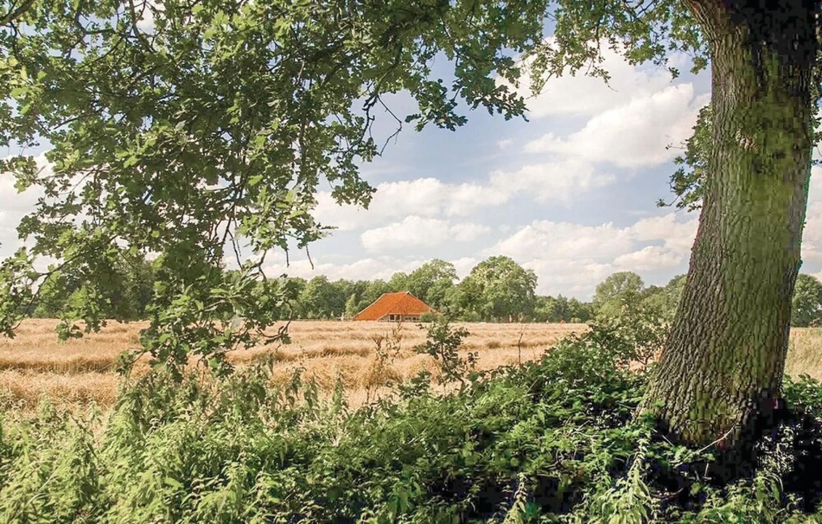 Awesome Home in Vlagtwedde With 3 Bedrooms, Wifi and Indoor Swimming Pool