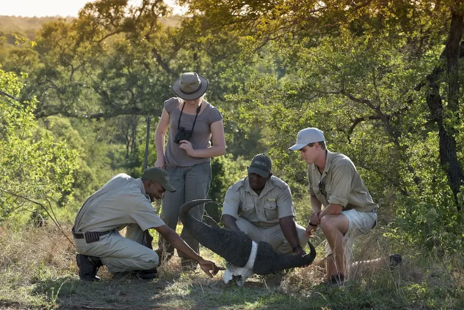Tanda Tula Safari Camp