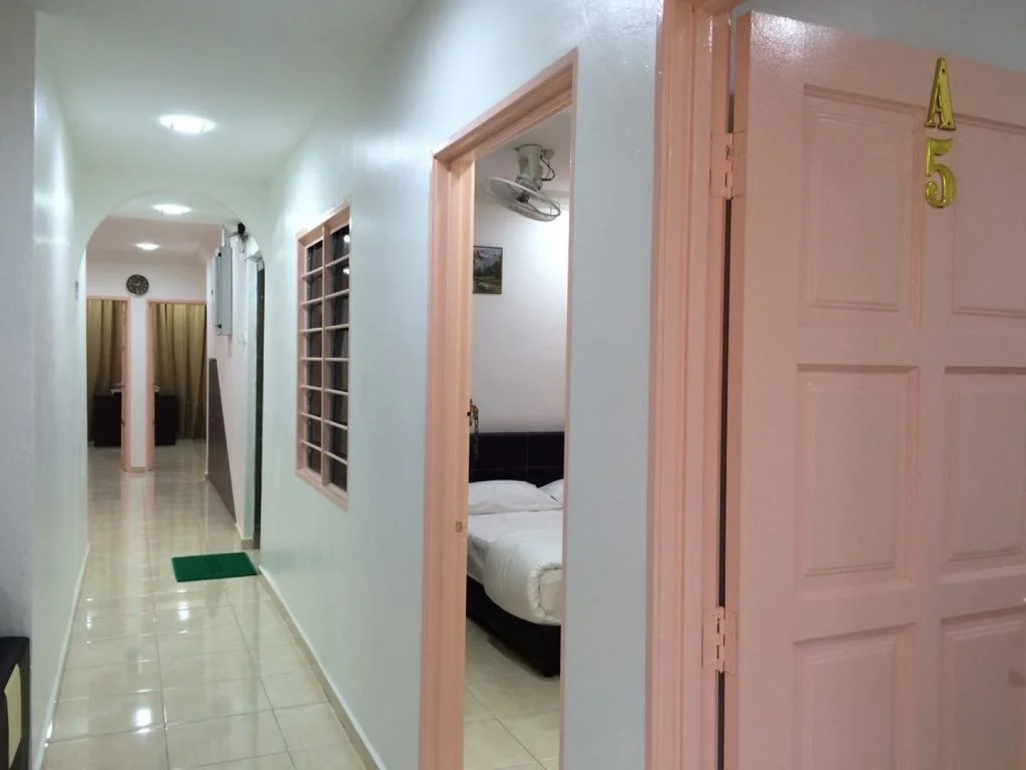 Lazy Bear Sleeping Place