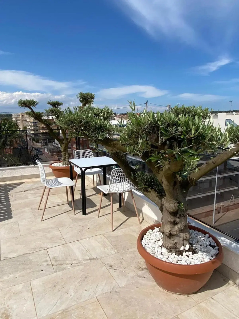 Apartment in Santa Pola