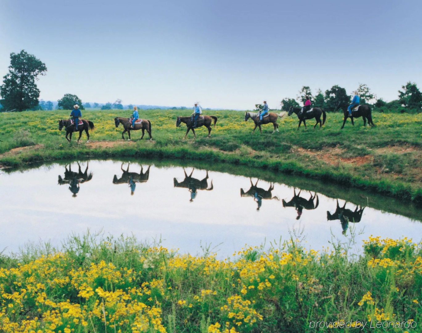 Holiday Inn Express Branson-Green Mountain Drive by IHG