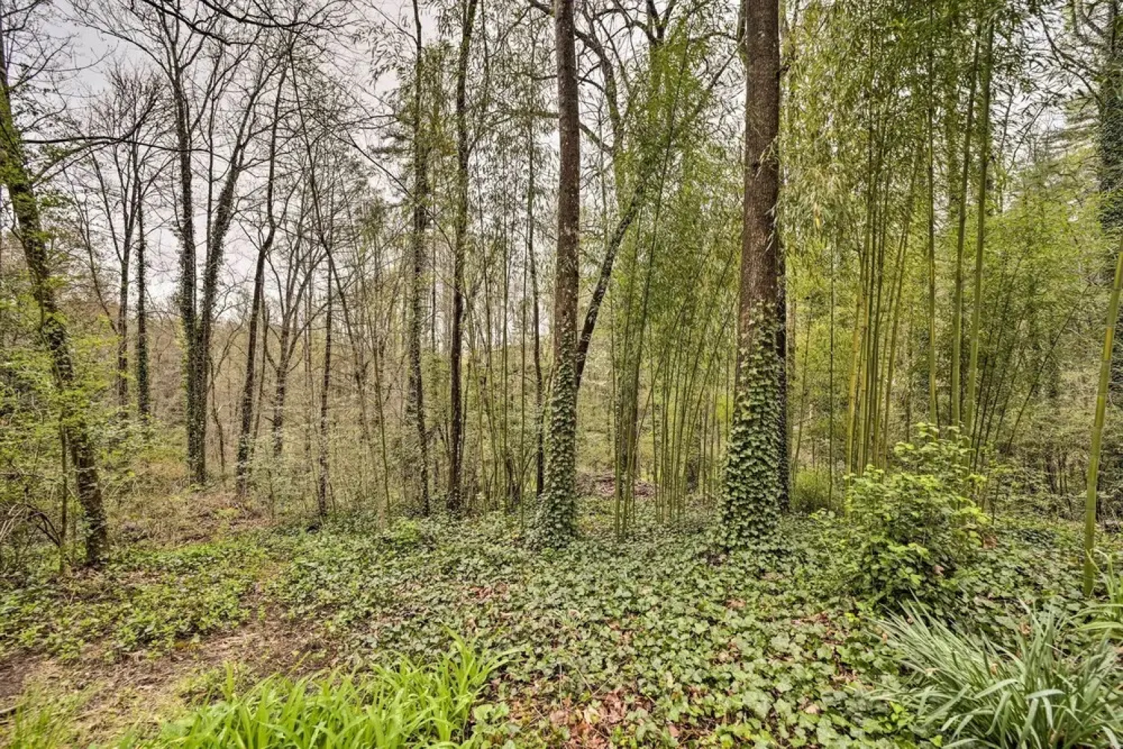 Cozy Wooded Retreat: 2 Mi to Dtwn Brevard!