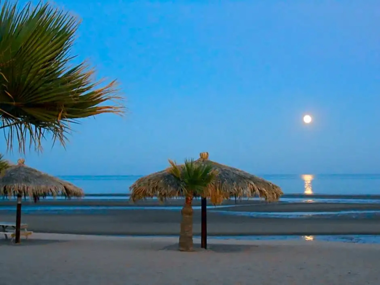 #40 Bungalow Seaside Hotel & Victors RV Park