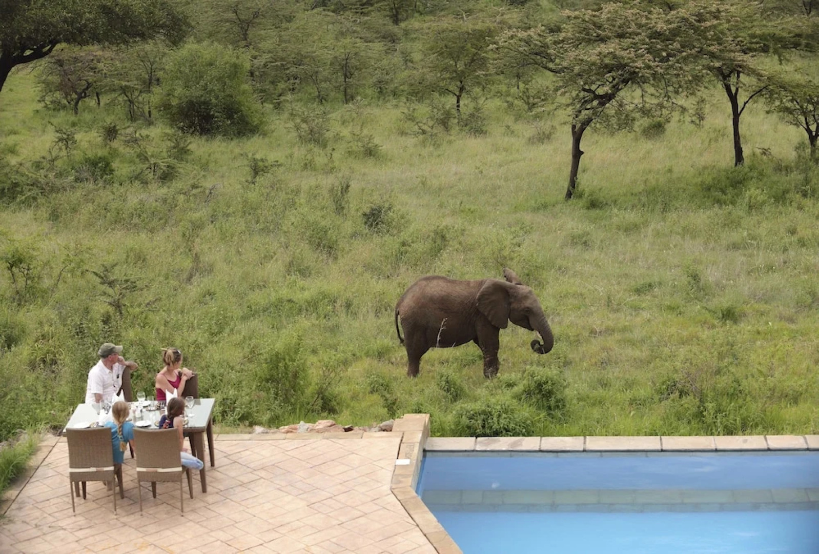 Spirit Of The Masai Mara