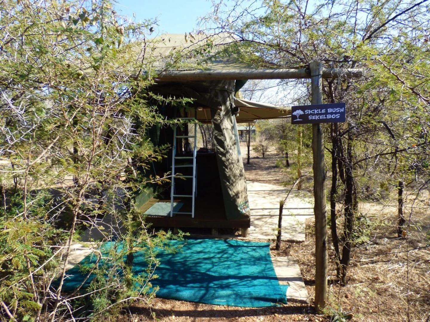 Thorn Tree Bush Camp