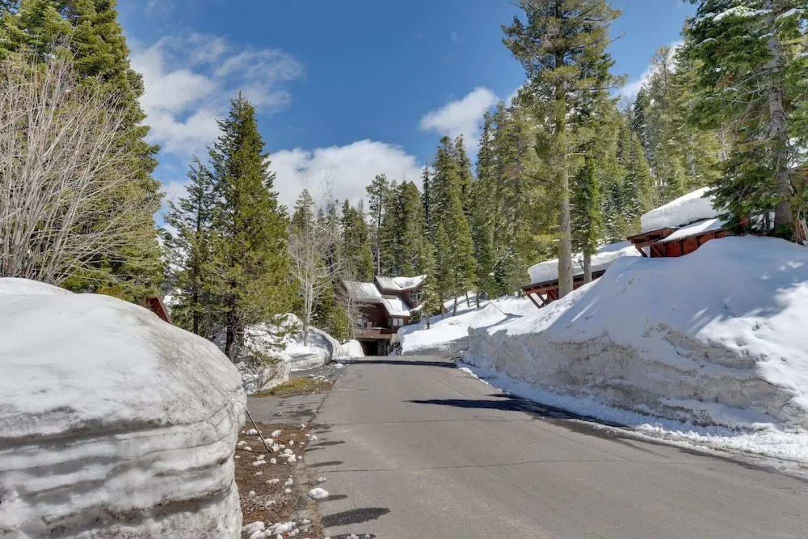 Contemporary Snow Crest