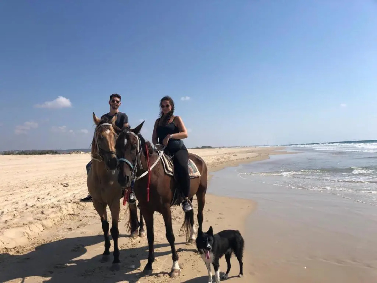 3 Rooms + Parking Hameyasdim 36