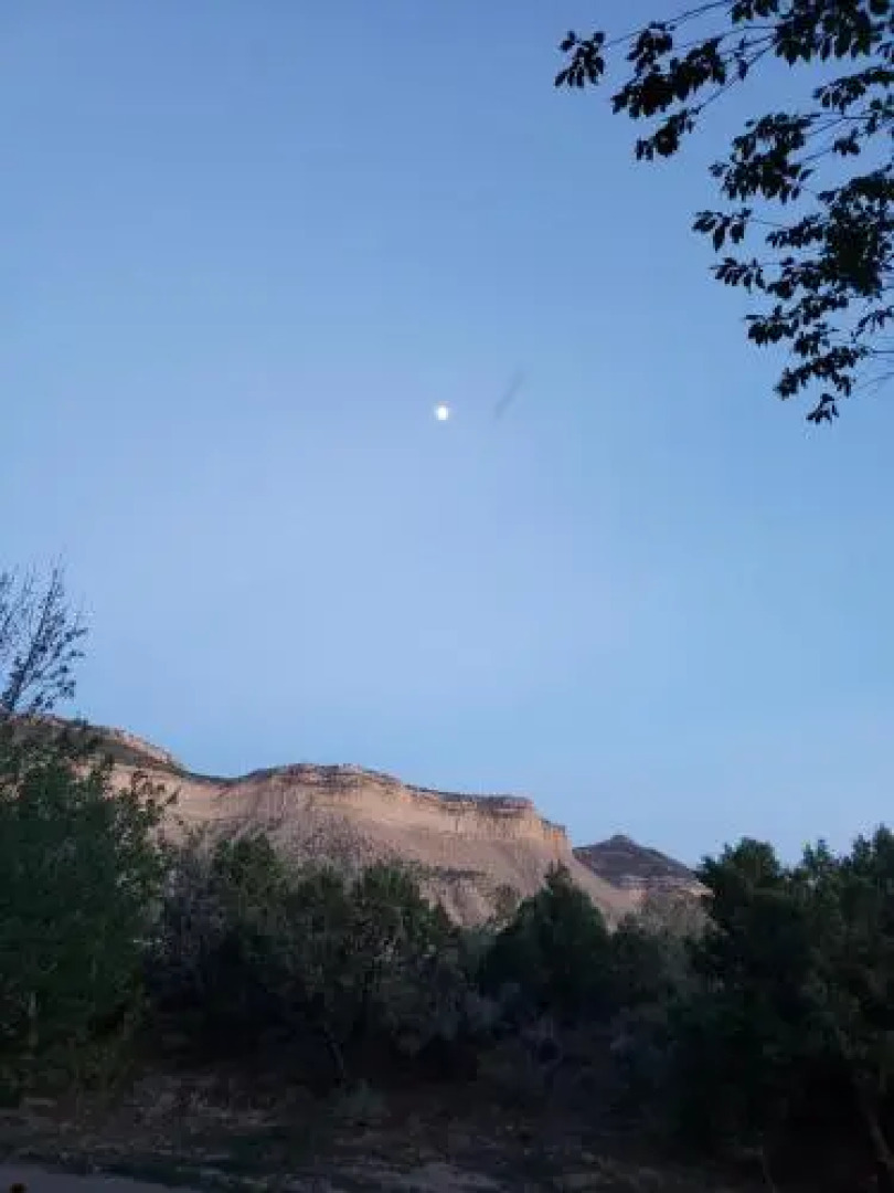 Grizzly Roadhouse Bed & Breakfast and Vacation Rentals