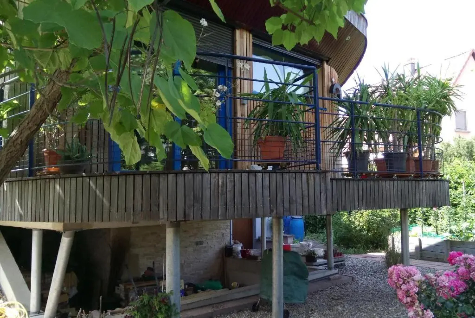 A l Ombre des Catalpas