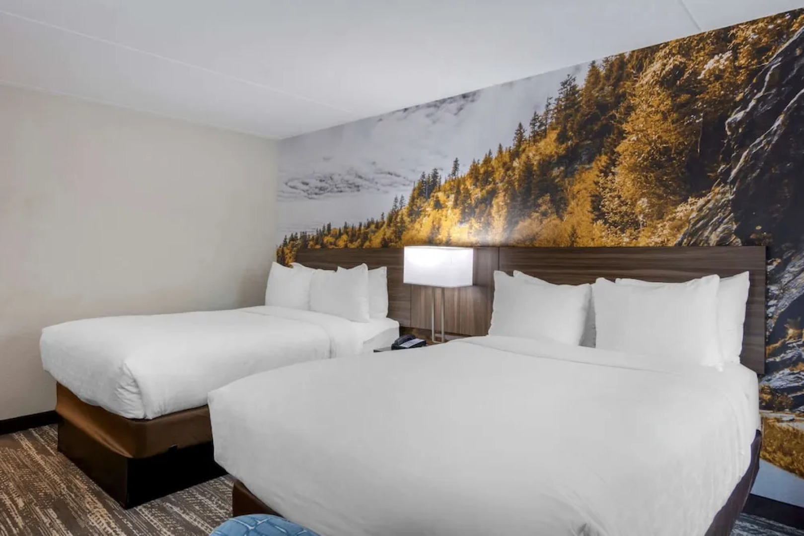 Clarion Pointe Charlottesville