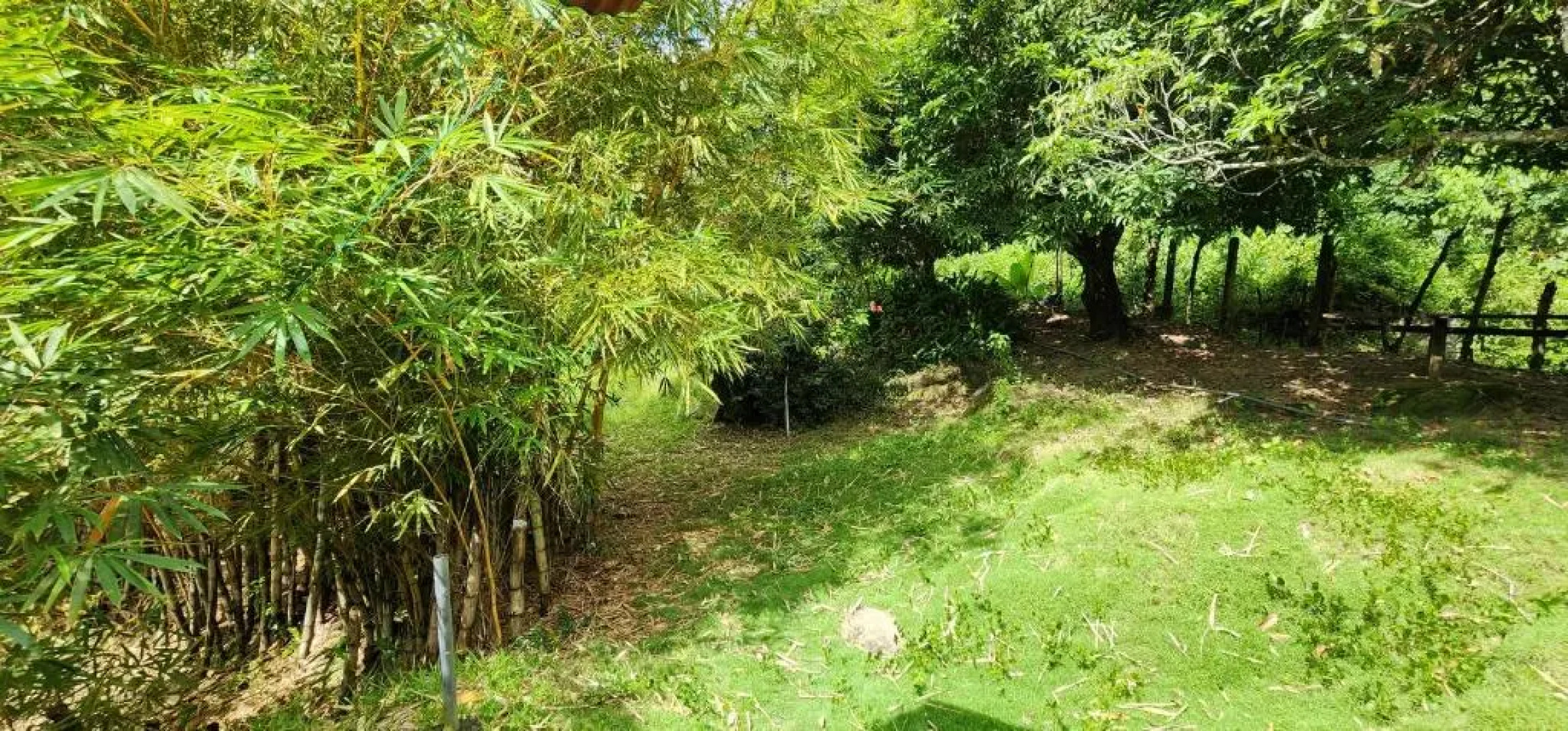 Hostel Finca La Gordita